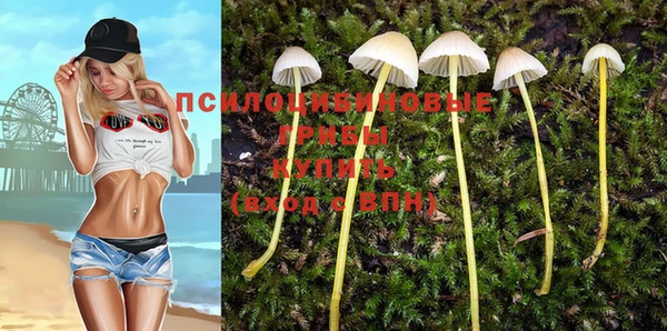 спайс Арсеньев